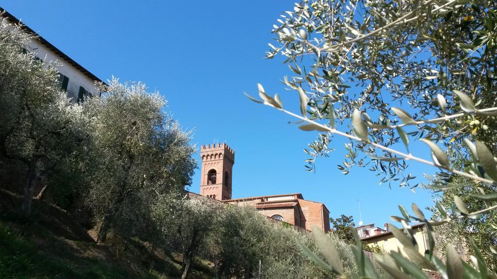 Bed and Breakfast Antica Casa Dei Rassicurati Montecarlo Zewnętrze zdjęcie
